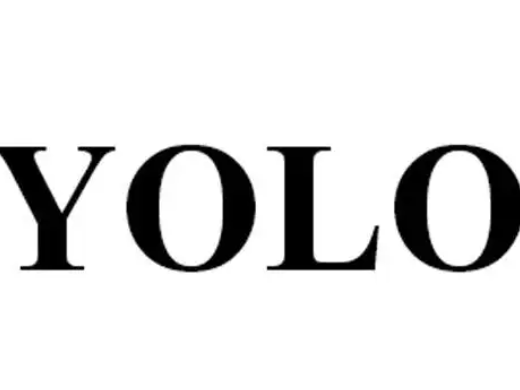 yolo是什么意思 yolo的中文是什么