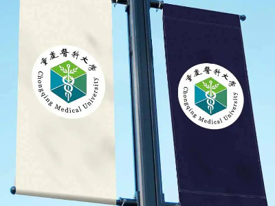 重庆医科大学校徽是什么样的